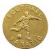 Football Fanatic image 1