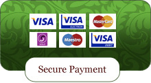 Secure Online Payment